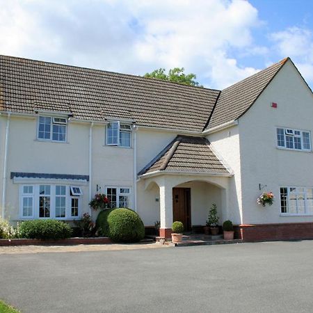 Hazel Court Guest House Newport (Gwent) Bagian luar foto